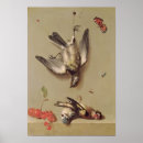 Search for morts posters Fruit