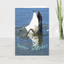 Search for goose birthday cards Humor