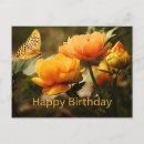 Search for beautiful butterfly birthday cards Nature
