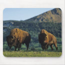 Search for rocky mountains mousepads Animal