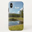 Search for swan lake iphone cases Landscape