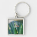 Search for leaf photo key rings Outdoors