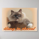 Search for ragdoll cat art Nature