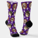 Search for purple socks Pet lover