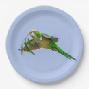 Search for monk parakeet Bird