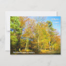 Search for wooded postcards Tree