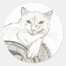 Search for ragdoll cat stickers Pet