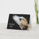 Search for companion thank you cards Animal