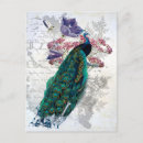Search for old graphics postcards For her