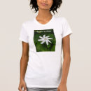 Search for tahitian Hawaii