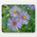 Search for asterism mousepads Landscape