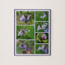 Search for virginia puzzles Nature