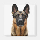 Search for dog ear magnets Cute