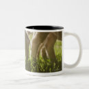 Search for grazing mugs Agriculture