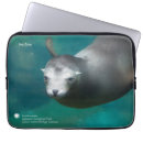 Search for 3 lions electronics Seal