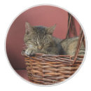 Search for cat knobs and pulls Drawer