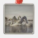 Search for wyoming christmas tree decorations Winter