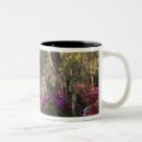 Search for south carolina coffee mugs Southern
