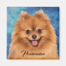 Search for spitz magnets Pet