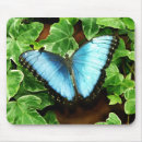 Search for morpho mousepads Blue