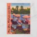 Search for flamingo picture postcards Tropical