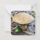 Search for adventure note cards Nature