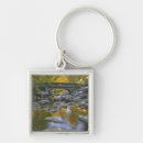 Search for release key rings Model released