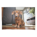 Search for baby animals pillowcases Pet