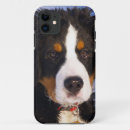 Search for bernese mountain dog iphone cases Pets