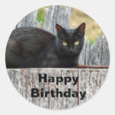 Search for cat birthday stickers Pretty