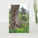 Search for texture pattern cards Tree