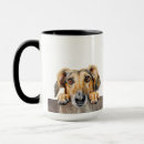 Search for salukis mugs Pet