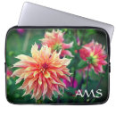 Search for pink dahlias electronics Flower