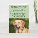 Search for funny photo christmas cards Dog