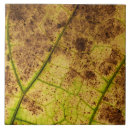 Search for leaf texture tiles Leaves