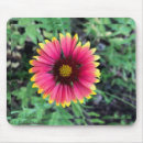 Search for gerbera daisy colours mousepads Yellow