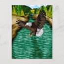 Search for mountain eagle postcards Mountains