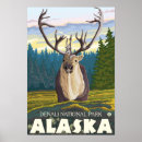 Search for caribe Caribou