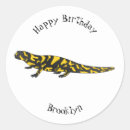 Search for salamander stickers Reptile
