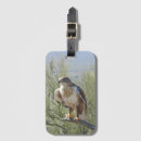 Search for falconry accessories Hawk