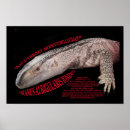 Search for dragon pet posters Herp