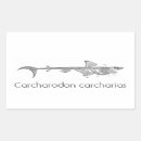Search for predator stickers Great white shark