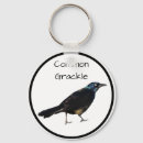 Search for blackbird key rings Nature