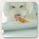 Search for poodle coasters Vertical