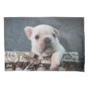 Search for pets pillowcases Canine