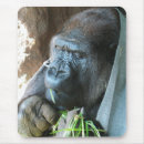 Search for feed mousepads Humour
