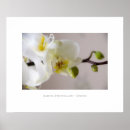 Search for blumen art Floral