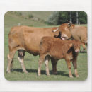 Search for cow mousepads Farm