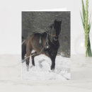 Search for horse and sleigh christmas cards Winter