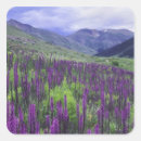 Search for alpine meadow stickers Outdoor